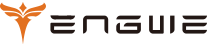 ENGWE Logo